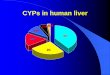 CYPs in human liver - fvcalabria.unicz.it · Etanolo 0.53 Farmaci con basso Vd sono contenuti principalmente nel sangue e sono altamente idrosolubili (contenuto plasmatico di 