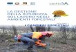 LA GESTIONE DELLA SICUREZZA SUL LAVORO NEGLI … in Bosco Veneto Agricoltura.pdf · idraulico-forestali, miglioramento boschi degradati, difesa delle coste, lotta ﬁ tosanitaria,