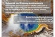 Subaerial and Extreme environments - uniroma2.it · AMBIENTI SUBAEREI Cianobatteri, Diatomee, Alghe verdi, Xantophyceae epilitici ed endolitici (sopralitorale, grotte, deserti caldi