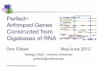 Perfect~ Arthropod Genes Constructed from Gigabases of RNAarthropods.eugenes.org/genes2/about/arperfgenes1206dm.pdf · Evidential Genes 2.0 Evidence Evigene RefSeq2 OGS v1.2 Introns
