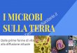 I MICROBI SULLA TERRA - d1ys487h6fvpnd.cloudfront.netd1ys487h6fvpnd.cloudfront.net/microbiologia/pdf/i-microbi-sulla... · Le stromatoliti sono rocce sedimentarie di natura calcarea