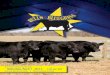 Joint Select Simmental Bull Sale Saturday, April 1, 2017 1 ... · Joint Select Simmental Bull Sale Friday, March 31, 2017 Viewing of the “Bulls of the Bluegrass”. Join us at the
