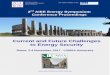 Current and Future Challenges to Energy Security · Mario Iannotti, Advisor on Sustainable Development (IMELS), Italy ... Alberto Pincherle, AIEE, Italy Paolo Polinori, University