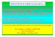 PROTEINA GREGGIA (P.G.) - UniTE - Home Page dell ... · Semi di cotone 18,87 5,30 Semi di soia 17,51 5,71 Orzo 17,15 5,83 Mais ... BASICI arginina istidina lisina. AMINOACIDI (2)