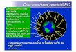 L’atmosfera terrestre assorbe la maggior parte dei … Raggi cosmici 42 Il “Gruppo Raggi Cosmici” guidato da Bruno Rossi al M.I.T. mette a punto una nuova tecnica per determinare