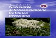 Anno 2017 – N° 10 - Associazione Botanica Bresciana · tribunali dei Celti e dei Germani, simbolo di nobiltà, le ghiande hanno for nito magro alimento fino al XVIII secolo, persino