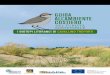 Guida all’ambiente COStieRO - bikeonservice.itbikeonservice.it/wp-content/uploads/2018/03/Guida-allAmbiente... · e lo sviluppo sostenibile dell’ambiente marino-costiero. l’obiettivo
