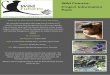 EVS Project Information - wildfutures.org · Wild Futures: EVS Project Information Pack. The Monkey Sanctuary, past and present The Monkey Sanctuary was established in 1964 by Leonard