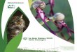 La Rete Natura 2000 della Romagnaambiente.regione.emilia-romagna.it/it/parchi-natura2000/consulta... · Il migliore investimento possibile per il futuro della nostra società è,
