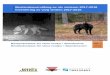 Inventering av varg vintern 2017-2018 - naturvardsverket.se · Varg, Canis Lupus, antal famlijegrupper, antal revirmarkerande par, antal föryngringar,populationens storlek, beståndsutveckling,