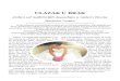 ULAZAK U BRAK - Institut Johannes Kepler · 3 Ulazak u brak arjanca ergan Predispozicija za brak Znak Raka na Asc opisuje osobu koja je povezana sa porodicom. Vladar Asc u 5. kući