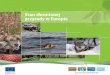 Stan chronionej przyrody w Europie - European Commissionec.europa.eu/environment/nature/info/pubs/docs/brochures/health... · Ochrona w praktyce 3 : Żółw błotny (Emys Orbicularis)