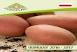 ODMIANY 2016 - 2017 - europlant.biz · Średnio wczesna odmiana w typie B, wyśmienicie nadaje się do przerobu na frytki, chipsy, susze i inne produkty szlachetne