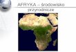 AFRYKA – środowisko przyrodnicze kraje... · Największe starożytne cywilizacje, na tym kontynencie, rozwinęły się właśnie w ... –Półwysep Arabski - największy półwysep