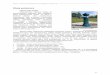 Wody podziemne - wios.lublin.pl · Krasnobród Belfont (użytek ekologiczny) / Krasnobród lasy I Wapń-II klasa, wodorowęglany- II klasa 5,2 9. Wieprz Hutki (pomnik przyrody)/ Krasnobród