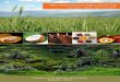 78th International Agriculture Fair - kemlu.go.id Pertanian.pdf · Untuk mengambil manfaat dari landasan dan terobosan di bidang ... - Kepala Sawit - Kakao - Kelapa - Kopi - Teh 
