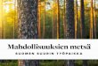 MIKSI PUU JA PUU JA METSÄT OVAT TÄRKEITÄ? Metsäteollisuus työllistää Suomessa n. 42 000 ja koko tuotantoketju n. 150 000 henkeä. Suomalaiset metsäalan yritykset ovat kansainvälisiä,