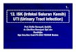 12. ISK (Infeksi Saluran Kemih) UTI (Urinary Tract Infection)ocw.usu.ac.id/course/download/1125-NEFROLOGI-ANAK-II/mk_nef_slide... · ISK (Infeksi Saluran Kemih) UTI (Urinary Tract