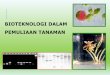 BIOTEKNOLOGI DALAM PEMULIAAN TANAMANadydaryanto.staff.gunadarma.ac.id/Downloads/files/61349/8... · kandungan vitamin dengan metode khusus, kemanisan buah dengan refrakctometer, 