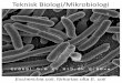 Teknisk Biologi/Mikrobiologi - LTH · Teknisk Biologi/Mikrobiologi . kvalitetsledning/säkring ... Paper, Antibiotic Production, Novel Biocatalysts for Oil-Industrial Processes, Bio-