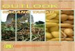 Outlook Komoditas Pertanian - bulelengkab.go.id · Perkembangan Harga Produsen Kacang Tanah Berkulit di Dunia, 2009-2013 ..... 67 Lampiran 23. Perkembangan Ekspor Impor Kacang Tanah