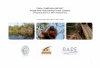 FINAL CAMPAIGN REPORT Sungai Putri Peat Swamp Forest ... · 1 FINAL CAMPAIGN REPORT Sungai Putri Peat Swamp Forest Complex Ketapang District, West Kalimantan Prepared by: Ade Yuliani,