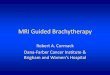 MRI Guided Brachytherapy - AMOS Onlineamos3.aapm.org/abstracts/pdf/77-22621-310436-93245.pdf · MRI Guided Brachytherapy Robert A. Cormack Dana-Farber Cancer Institute & ... approved