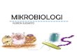 MIKROBIOLOGI - yusronsugiarto.lecture.ub.ac.idyusronsugiarto.lecture.ub.ac.id/files/2015/02/PERTEMUAN-1.pdfno materi literatur 1 pendahuluan 2 prokariotik dan eukariotik 3 klasifikasi