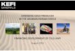 EMERGING GOLD PRODUCER IN THE ARABIAN NUBIAN … · current expectations concerning, among other things, the Company's results of operations, financial condition, prospects, growth,