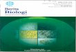 genom.litbang.pertanian.go.idgenom.litbang.pertanian.go.id/publication/2010/SidikjariDNA.pdf · [Novel Primers to Amplify The Gene Coding for Envelope Protein of Dengue Virus Strain