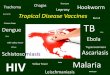 Guanarito Buruli Crimean-Congo Dengue TB · Hookworm Vaccine: Human Trials. Human Hookworm Vaccine Initiative (Peter Hotez and David Diemert) Na-ASP-2 Hookworm vaccine. 21.3 kDa recombinant