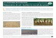 Préparation de sol : faciliter le travail du semoir · II LA TECHNIQUE BETTERAVIÈRE À retenir • Le travail du sol pour l’implantation des betteraves s’anticipe dès la récolte