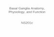 Basal Ganglia Anatomy, Physiology, and Function NS201c · Physiology of Basal Ganglia: Striatal Synaptic Plasticity Regulates Circuitry • Striatum is the major input nucleus to