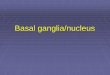 Basal ganglia/nucleus - doctor2016.jumedicine.comdoctor2016.jumedicine.com/.../sites/6/2019/01/basal-ganglia-part-1.pdf · Basal ganglia/nucleus . Parts . Function of the basal ganglia