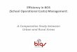 Efficiency in BOS (School Operational Costs) Management: A ...siteresources.worldbank.org/EXTHDOFFICE/Resources/5485726... · (School Operational Costs) Management: A Comparative