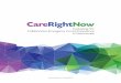 Evaluating the Collaborative Emergency Centre Experience ...novascotia.ca/dhw/publications/Care-Right-Now-Evaluating-the-CEC... · syNopsis iii Ironically, primary health care component