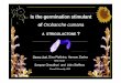 Is the germination stimulant of Orobanche cumana - Ispa Cnr · Is the germination stimulant of Orobanche cumana A STRIGOLACTONE ? ARO Israel Danny Joel, Dina Plakhine, ... ¾Product