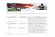 Gambar 4.23 Serranidae live reef fish trade) (Foto: … Karakteristik perikanan laut Indonesia: jenis ikan disekitarnya; tertangkap dengan berbagai alat termasuk Gill Net, Speargun