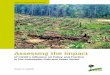 Assessing the impact of CIFOR’s influence on policy and practice … · Raitzer, D.A. 2008 Assessing the impact of CIFOR’s influence on policy and practice in the Indonesian pulp