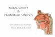 NASAL CAVITY & PARANASAL SINUSES - AL-Mustansiriyah …09_19... · Paranasal Sinuses The paranasal sinuses are cavities found in the interior of the maxilla, frontal, sphenoid, and
