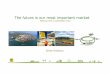 The futureis ourmostimportantmarket - ETIP Bioenergy · Bio-diesel WTW Energi (MJ / 100 km) Biogas WTW performance Hydrogenated TOD 23 Talldiesel DME (Svartlut) (4/188) Talldiesel