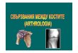 Arthrologia dentalna SD - anatomy.plcnet.organatomy.plcnet.org/files/Lectures/Dentalna_1/esen_2012/Arthrologia... · Класификация на ставите (продълж.)Според