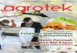 Edisi Oktober 2018 Suplemen Majalah SAINS Indonesiabpatp.litbang.pertanian.go.id/balaipatp/assets/upload/download/... · bawang putih, bawang merah, garam, lada bu-buk, gula pasir,