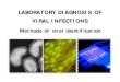 LABORATORY DIAGNOSIS OF VIRAL INFECTIONS Methods of … · Identification of viruses - directly in clinical samples - after isolation of viruses in the systems of living cells Based