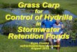 Grass Carp Control of Hydrilla - Pinellas Chapterpinellas.fnpschapters.org/.../pdfs/grass-carp-for-hydrilla-control.pdf · Hydrilla (Hydrilla verticillata) Is the Most Problematic