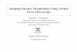 Imaging Polymer Morphology Using Atomic Force Microscopy · Imaging Polymer Morphology Using Atomic Force Microscopy Russell J. Composto Materials Science and Engineering, and the