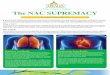 The NAC SUPREMACY - TriStar - Welcome to TriStar Naturalstristarnaturals.com/wp-content/uploads/2017/12/TriStar-NAC... · The NAC SUPREMACY By Zoltan P. Rona ... sinusitis or pneumonia,