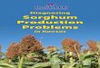 Diagnosing Sorghum Production Problems - KSRE Bookstore · Diagnosing Sorghum Production Problems in Kansas Kansas State University Agricultural Experiment Station ... hand lens or