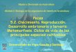 Master y Doctorado en Acuicultura Módulo I: Biología de ...pesquerias.iim.csic.es/wp-content/uploads/2013/11/Posgrado-Peces-1... · Microsoft PowerPoint - Master Acuicultura-Peces-Reproduccion-1