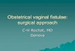 Obstetrical vaginal fistulae surgical approach · Post. op. follow-up ... Follow-Up Evaluation . of possible stress incontinence Urinary. infection Councelling. for future pregnancy